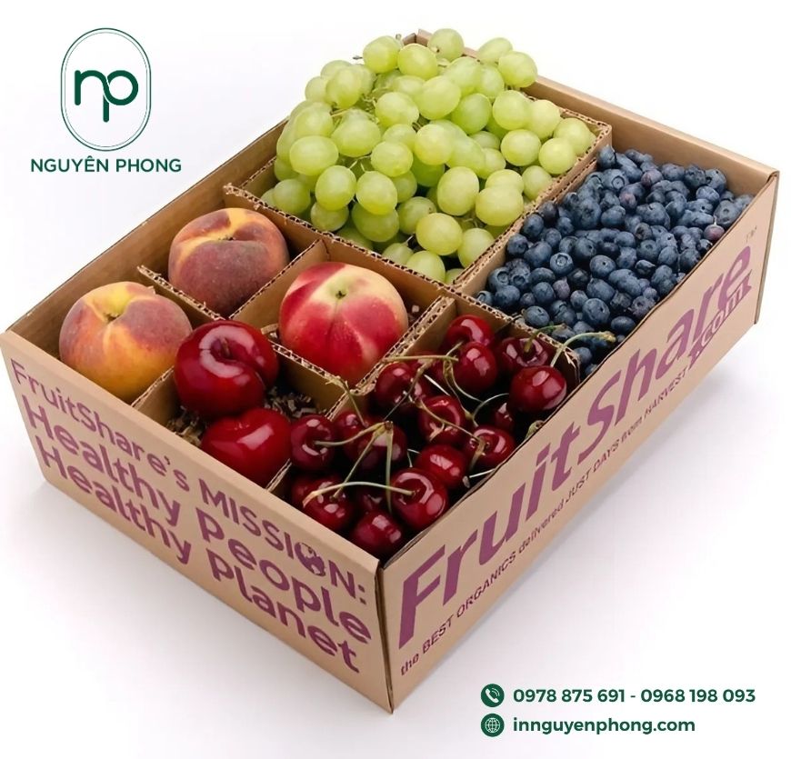 Mẫu thùng carton đựng trái cây chia ngăn